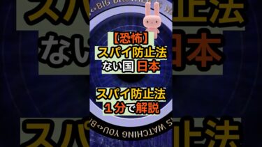 【スパイ防止法とは？日本の安全保障の穴を解説】#スパイ防止法 #安全保障 #情報漏洩