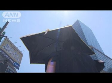今月中旬の記録的高温「間違いなく温暖化の影響」 最新の分析結果発表(2025年6月26日)