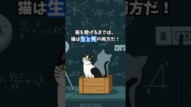 🎵 量子もつれの真相を大公開！ #科学 #解説 #量子