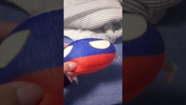 世界の軍事力 #ポーランドボール