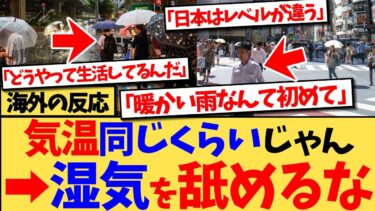 【海外の反応】『オーストラリア人だけど、日本の夏ってそんなにヤバいの？』という投稿に、『オーストラリア出身だけど衝撃を受けた』など、日本の夏のヤバさを体験した外国人のコメントが殺到した反応集