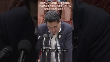 【国防レベル警鐘】日本の風車、中国依存で大丈夫？エネルギー安全保障の死角を突く！#洋上風力発電#中国依存リスク#エネルギー安全保障#国産技術#経済安保