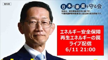 エネルギー安全保障　再生エネルギーの罠