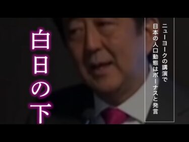 【白日の下に】自民党安倍晋三の移民政策&外国人参政権/れいわ新選組山本太郎の移民反対/国会中継/牛歩戦術