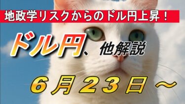 【TAKA FX】地政学リスク相場からのドル円上昇か？　6月23日(月)～　ドル円他各通貨の環境認識解説
