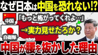 【ゆっくり解説】なぜ？日本が中国の強大な軍事力に恐怖しない理由！「真実を知れば中国人は恐れ慄く…」日本が隠す驚異の実力とは？