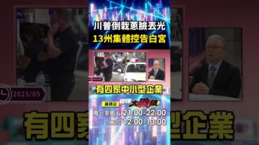 川普關稅戰已經輸了！美國鬧內鬨「民生通膨活不下去」13州集體控告白宮濫權違法？！｜#寰宇新聞