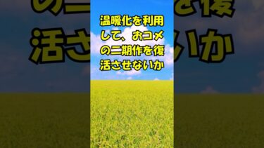 温暖化と二期作のススメ #農業 #中学地理
