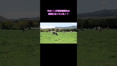牛の○○が地球温暖化の原因になっていた！？　#雑学 #豆知識