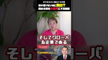 米不足なのに輸出する矛盾 #吉野敏明 #日本誠真会 #小泉進次郎 #米不足 #海外輸出 #小麦畑 #食料安全保障