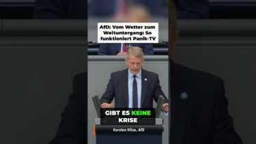 AfD enthüllt: Klima-Angstmacherei für unsinnige Ideen?!