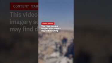 Dozens of people were killed when shots were fired into crowds at a Gaza aid
