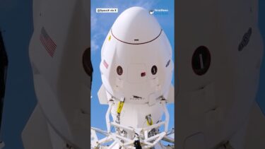 Elon Musk is NOT decommissioning SpaceX’s Dragon spacecraft | #shorts #elonmusk