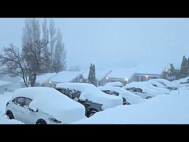 Extreme weather devastated South Africa! Snow and flood wreak havoc in Eastern