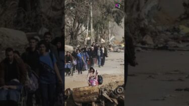 Gaza Aid Tragedy Leaves 41 Palestinians Dead Amid Gunfire and Israeli Air