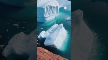 Global Warming to Glaciers #globalwarming #glacier #savetheenvironment #rebuild