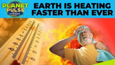 How To Protect Yourself During Heatwave | Planet Pulse | N18G