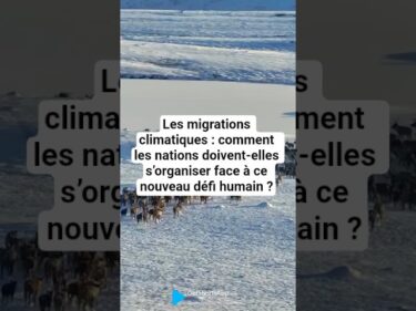 La migration climatique: comment les nations doivent-elles s’organiser face à