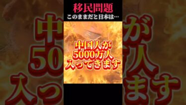 【移民問題】このままだと日本は…　#政治 #中国