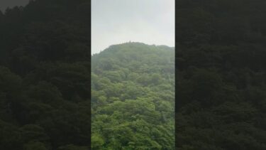 地球の涙のように雨が降る　湯川仁士　地球温暖化にむかって　西丹沢の谷間より　画家詩人シンガーソングーライター　自然と人間の調和を願い　山北町　日本