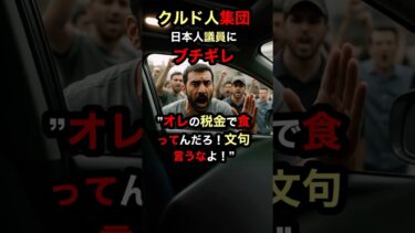【移民問題】クルド人集団が議員にブチギレ オレの税金で食ってんだろ！オレに文句言うなよ！