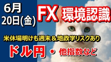 【TAKA FX】アメリカ休場明けも週末＆地政学リスク…　ドル円他各通貨の環境認識解説。各種指数、GOLDなど　6月20日(金)