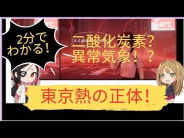 二酸化炭素？異常気象？　東京熱の正体！