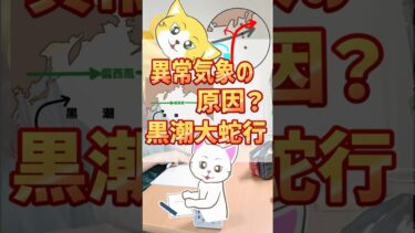 異常気象の原因？黒潮大蛇行#雑学#豆知識#黒潮