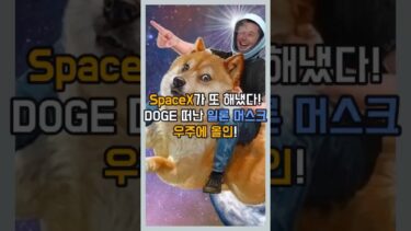 🚀 SpaceX가 또 해냈다! DOGE 떠난 일론 머스크, 우주에 올인!