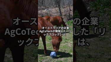 牛のゲップが地球を救う！？驚きの“アメ作戦”が指導！
