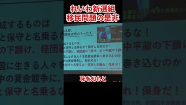移民問題　過去に一人で抗議した山本太郎　#山本太郎 #れいわ新選組 #移民問題