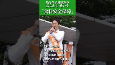 【食料安全保障】自給率100％を目指す！参政党ふじわら せいやの提案｜兵庫選挙区#参政党 #ふじわらせいや #日本人ファースト