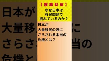【積極財政】なぜ日本は移民問題で揺れているのか？