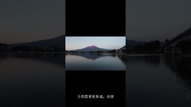 ニュース「国際協同組合年」に日本も参加中！