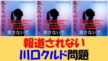 報道されない川口クルド問題　「地域住民の人権は無視ですか？」地元女性制作の画像急拡散　「移民」と日本人