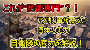 【衝撃】米軍が驚いた日本の軍事力…F16を圧倒した“普通の兵士”とは　#猫ミーム #猫マニ