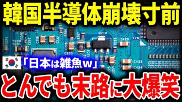 【韓国の反応】悲報！隣国の半導体産業が崩壊間際！？日本の技術を盗んで推進した産業の末路とは…「日本を見下すからこうなる…」【総集編】