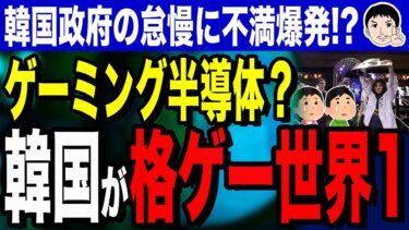 【㊗新しい半導体の誕生❕ 韓国さんおめでとう🎉 何色にする❓ｗ🤣ｷｬｯﾊ-】韓国が格ゲーで世界一！？CEO 2025