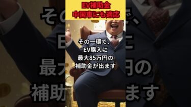 EV補助金、誰のため？—国内産業と中国メーカーの現実 #Shorts #補助金 #EV #脱炭素 #ガソリン