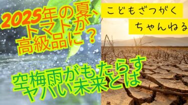 【ずんだもんと学ぶ】2025年の梅雨はなぜ異常だった？猛暑と水不足を引き起こした３つの原因を徹底解説！