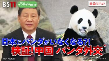 【パンダ】日本にパンダがいなくなる!?