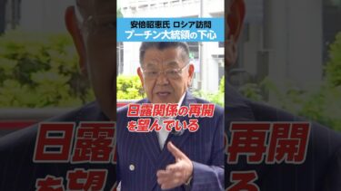 【安倍昭恵氏 ロシア訪問】プーチン大統領の下心