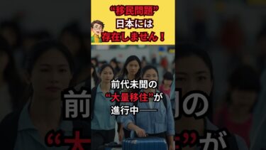 日本に移民問題はありません！ #Shorts #治安悪化 #自民党  #移民政策 #外国人問題