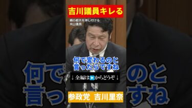【参政党・吉川里奈】子どもの人権を無視する米山答弁に吉川議員が声を震わせて激怒！【衆議院法務委員会2025年6月13日】