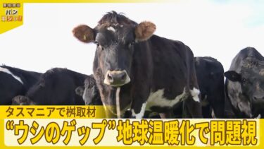 【“ウシのゲップ”】地球温暖化で問題視…立ち向かう日本人研究者を桝太一が取材『バンキシャ！』