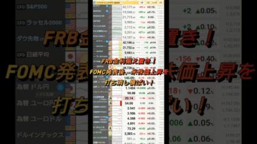 6月19日 FRB金利据え置き！FOMC発表後、米株価上昇を打ち消し横ばい！【株式投資】【米国株ナイトセッション】