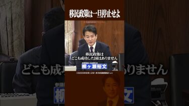 #柳ヶ瀬裕文 #移民問題 #参議院 移民政策は一旦停止すべき