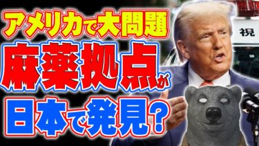 【怖いよ！】アメリカで社会問題化してる薬物の中国系組織の密輸拠点が日本に？！フェンタニルって何？！