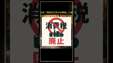 消費税を子供たちに残すな #shorts  #インフレ #コアコアcpi #ニュースの虎側