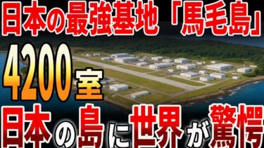 【海外の反応】日本の馬毛島基地！なぜ中国は馬毛島を恐れるのか？